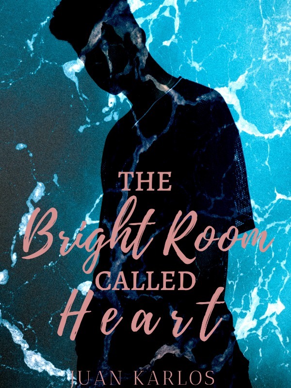 The Bright Room Called Heart Book