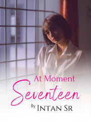 At Moment Seventeen Book