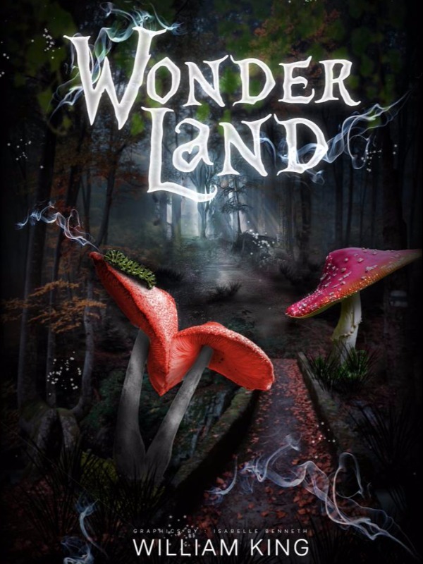 Wonderland | A retelling Book