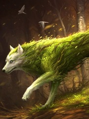 The Wolf and Fey Book