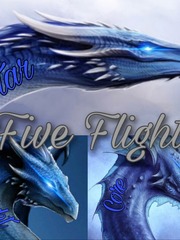 Five Flights Book