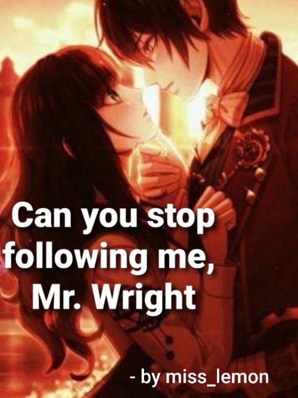CAN YOU STOP FOLLOWING ME , MR WRIGHT