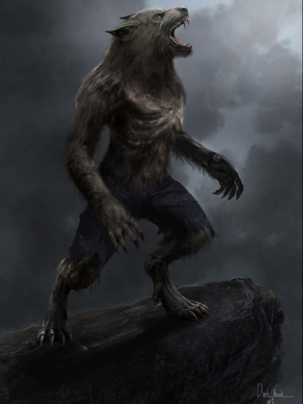 The Curse of The Werewolf (Werewolf x RWBY)