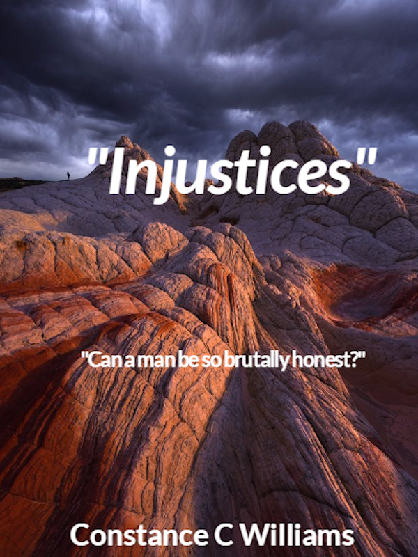 Injustices Book