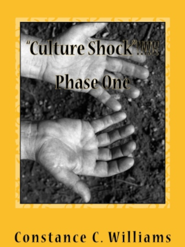 Culture Shock Book