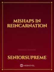 Mishaps in Reincarnation Book