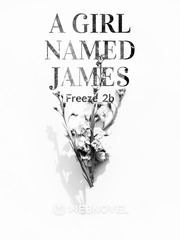 A Girl Named James Book