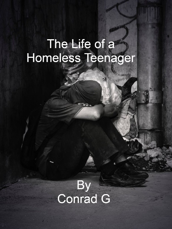 The Life of a Homeless Teenager Book