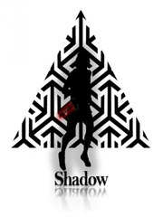 Shadow Book