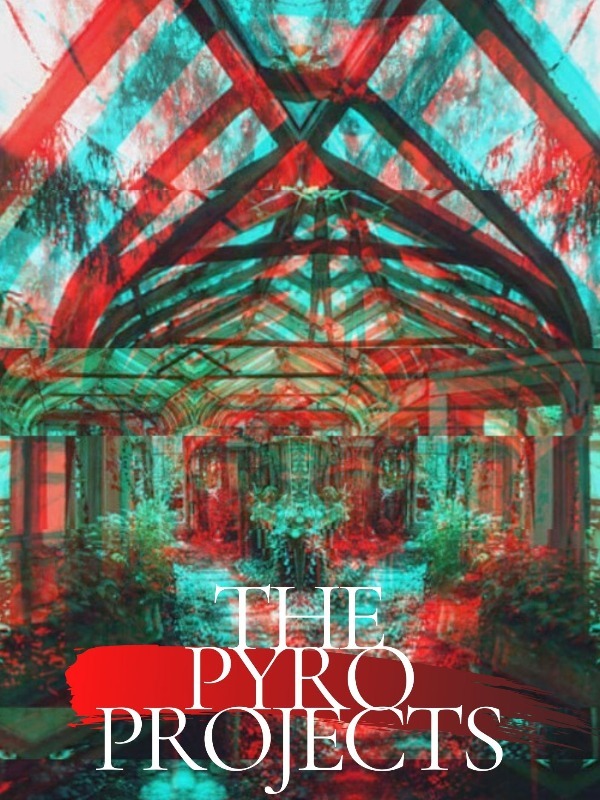The Pyro Project Book