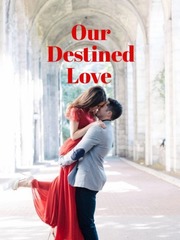 Our Destined Love Book