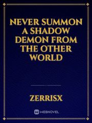 Never Summon a Shadow Demon from the Other World Book