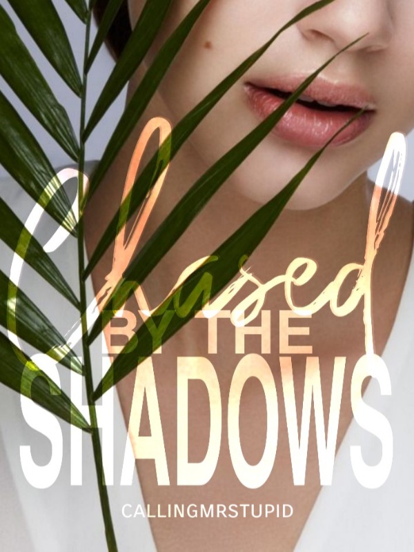 Chased by the Shadows (Venue Series #1)