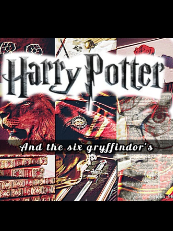 HARRY POTTER and the six Gryffindor's