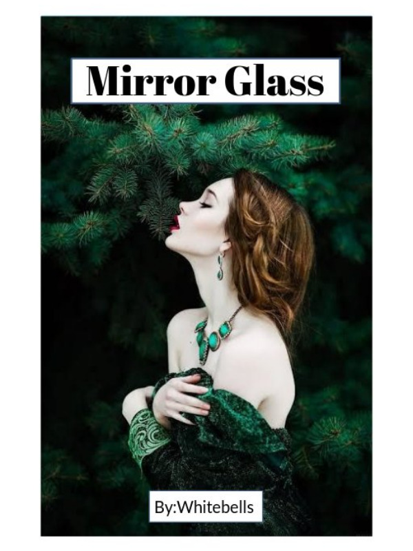Mirror Glass Book