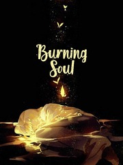 Burning Soul Book