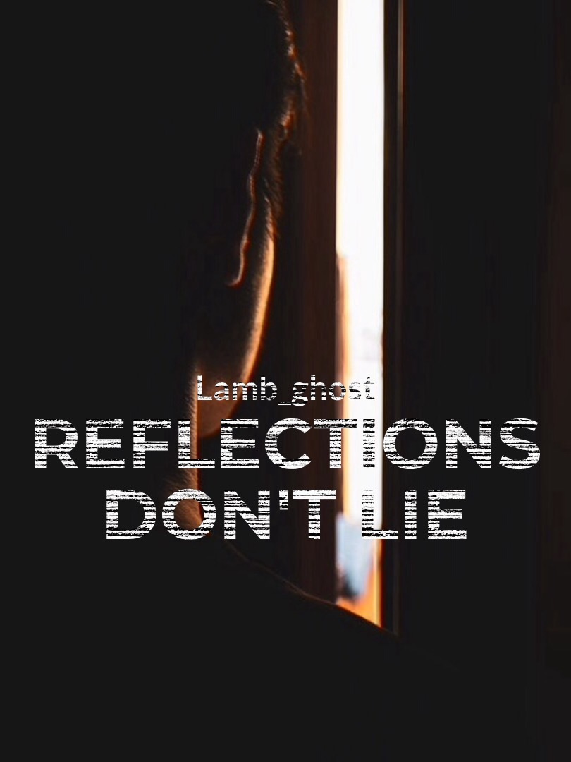 Reflections don't lie Book