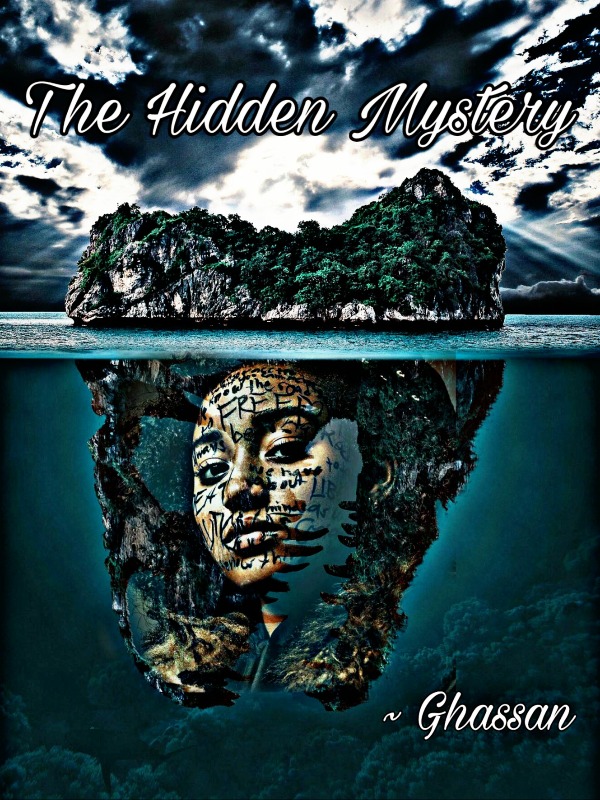 The Hidden Mystery Book