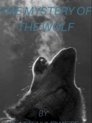The Mystery Of The Wolf Book