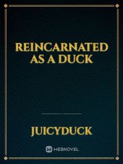 Reincarnated As A Duck Book