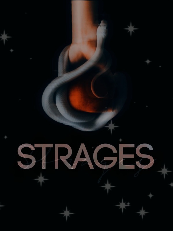 STRAGES Book