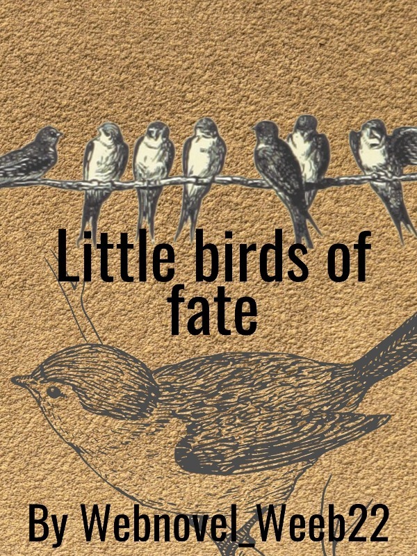 Little birds of fate Book