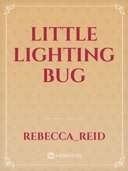 Little Lighting Bug Book