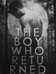 THE BOY WHO RETURNED Book