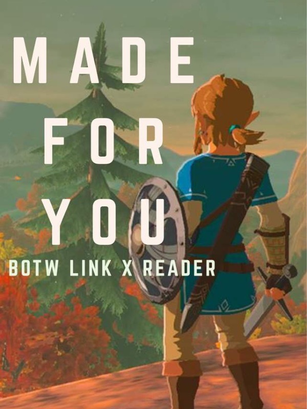 Made For You | BOTW Link x Reader Book
