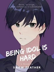Being Idol is Hard Book