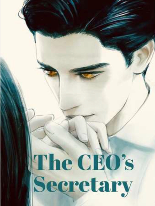 The CEO’s Secretary Book