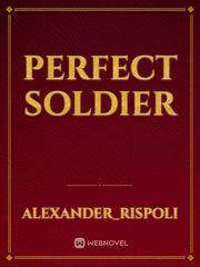 Perfect Soldier Book