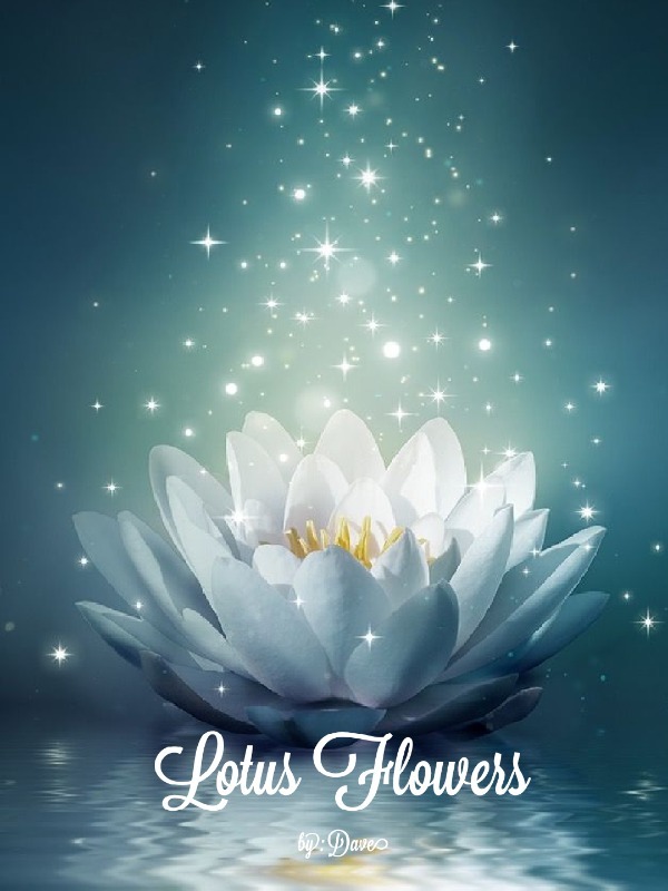 Lotus Flowers Book