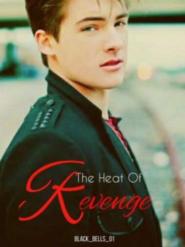 The Heat Of Revenge Book
