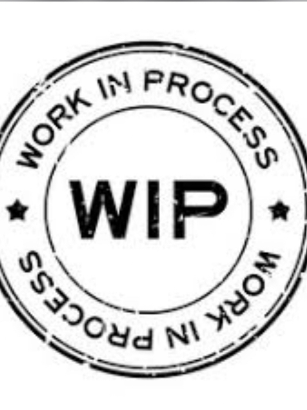 WIP (WORK IN PROGRESS 3)