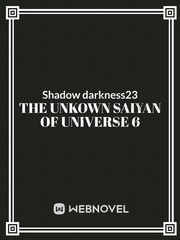 Shadow Darkness 23 Book