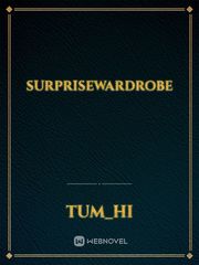 surprisewardrobe Book