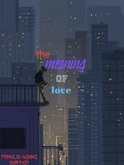 The meaning Of Love Book