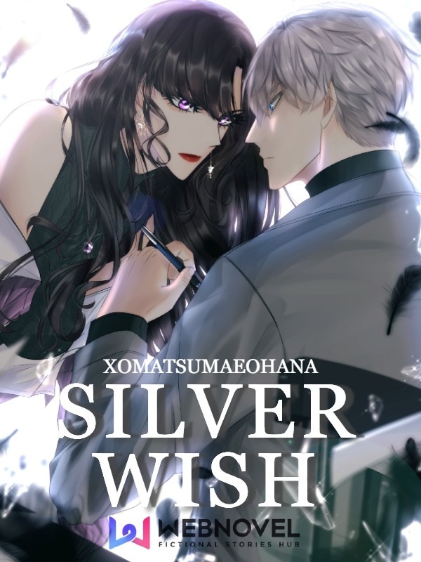 Silver Wish Book