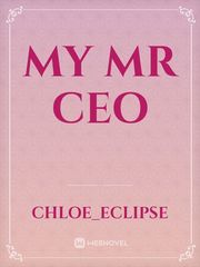 My Mr CEO Book