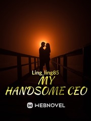 my handsome ceo Book