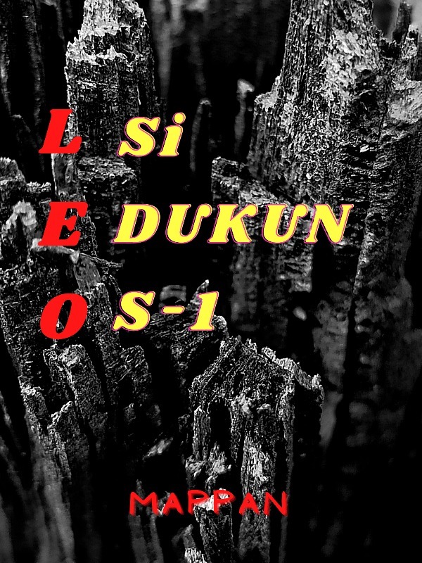 LEO si DUKUN S-1 Book