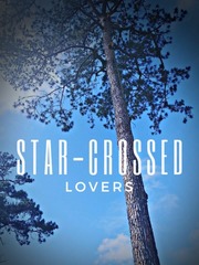Star-Crossed Lovers Book