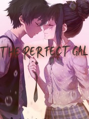 " The Perfect Girl " Book