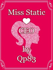 Miss Static and the CEO Book