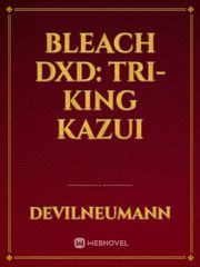 Bleach DxD: Tri-King Kazui Book