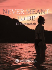 Never Meant To Be Book