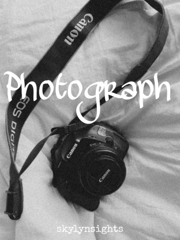 - Photograph -