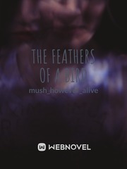 The Feathers of a Bird Book