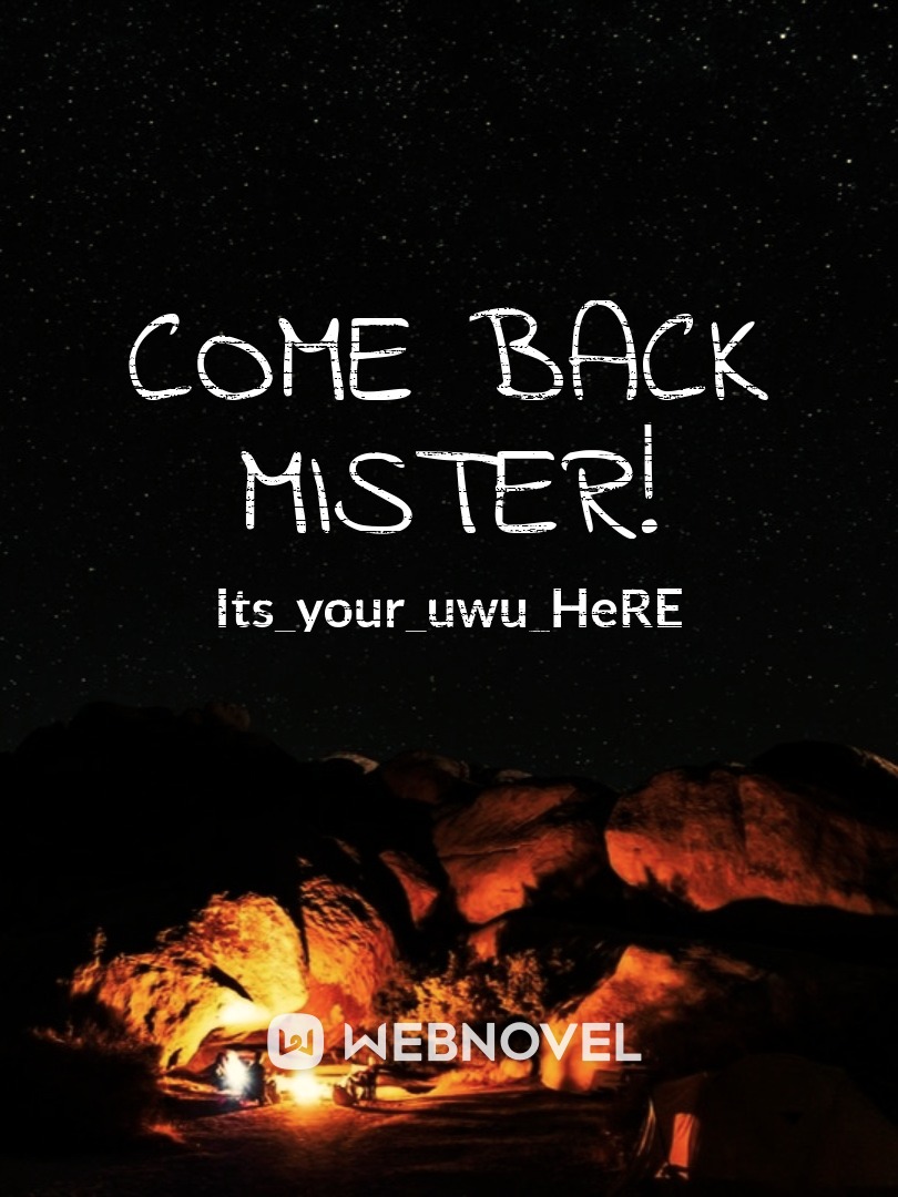 Come Back Mister! Book